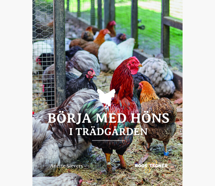 Borja med hons i tradgarden kuva