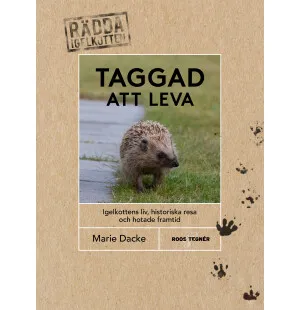 Taggad att leva, igelkottens liv, historiska resa kuva