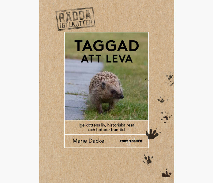 Taggad att leva igelkottens liv historiska resa v2 kuva