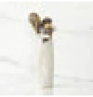 Willow Tree Adorable You, dark dog image