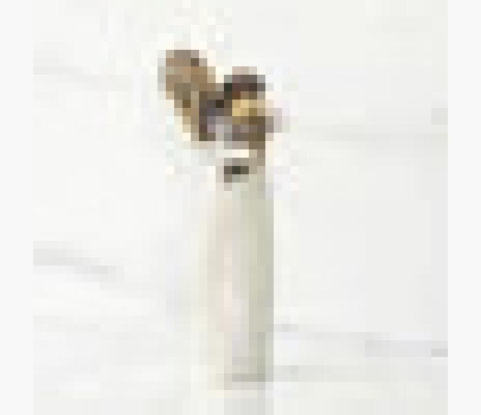 Adorable You  dark dog  image