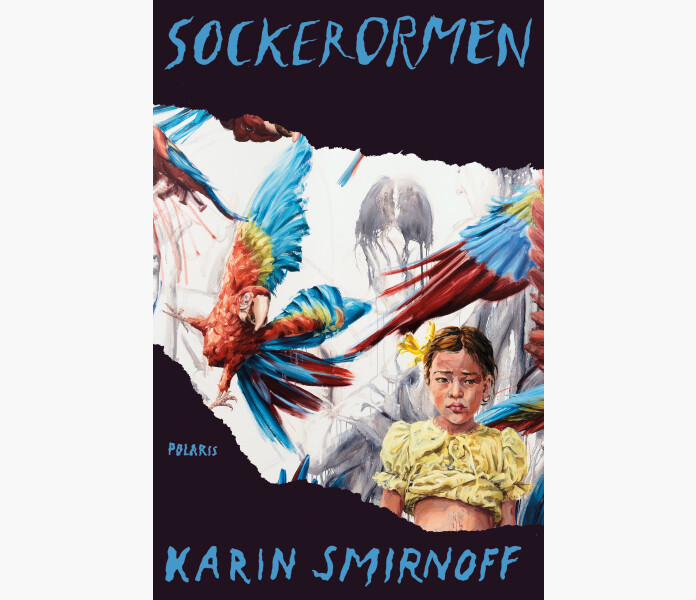 Sockerormen v2 image