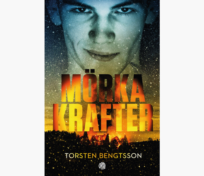 Morka krafter v2 kuva