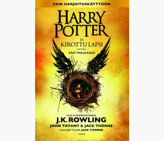 Harry Potter ja kirottu lapsi image