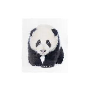 Pläd Panda kuva