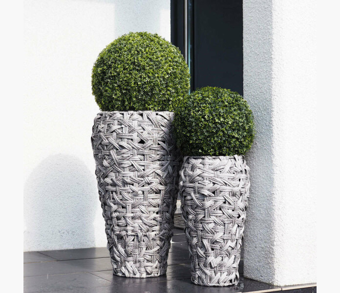 Buxbom klot 30cm 1 image