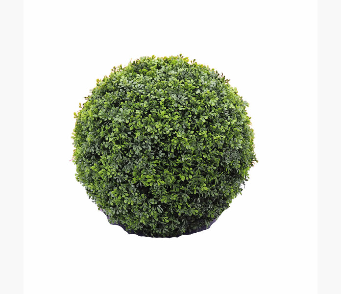 Buxbom klot 30cm image