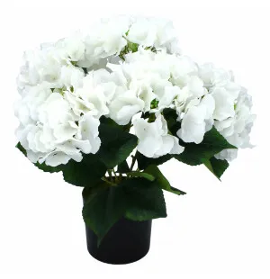 Hortensia vit 42cm image