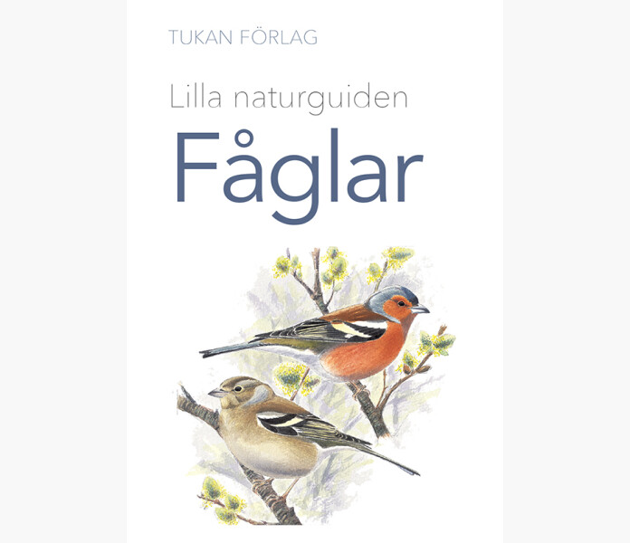 Lilla naturguiden faglar kuva