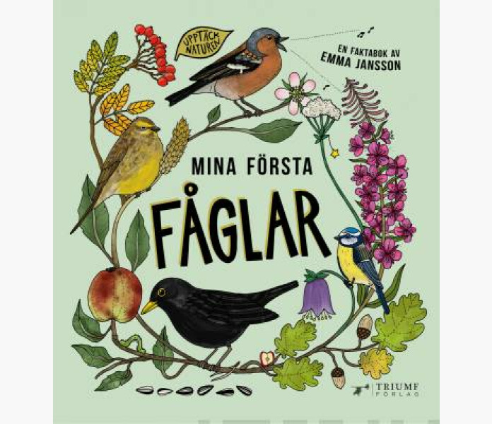 Mina forsta faglar kuva