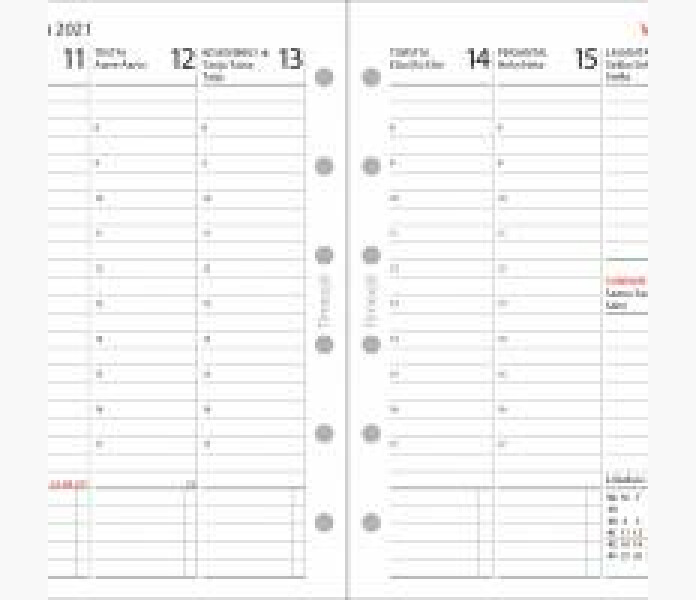 Ajasto Timex 2021 2022 1 kuva