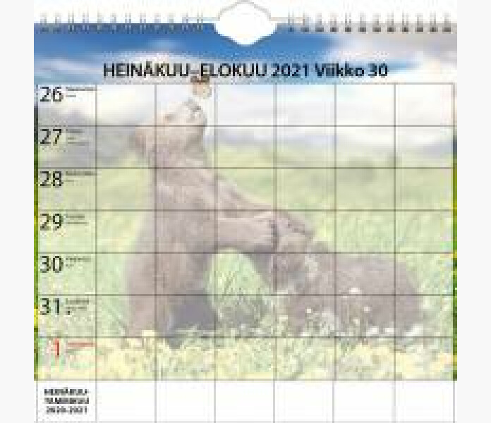 Ajasto Forget Me Not 2021 2022 Family vaggalmanack 1 kuva