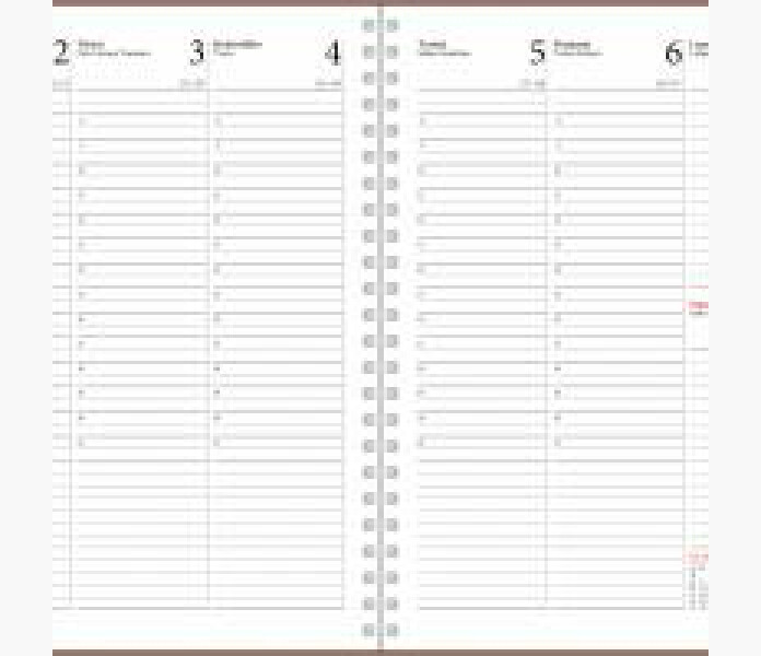 Ajasto Simple korall 2021 2022 lasarskalender 1 kuva