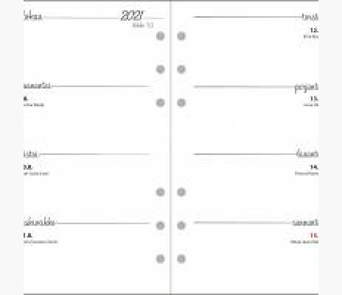 Ajasto Timex Planner 2021 2022 1 kuva