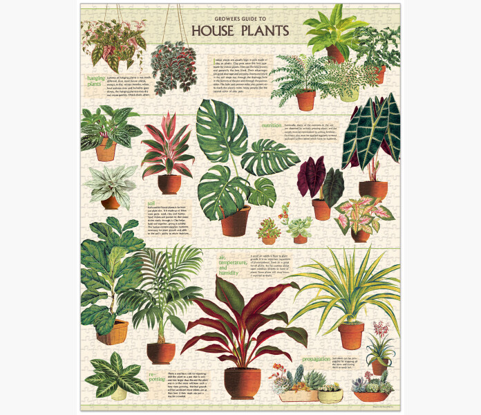 Cavallini Vintage Pussel House Plants 1000 bit. 1 kuva