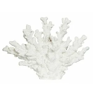 Korall poly vit 26x6x18,5cm image