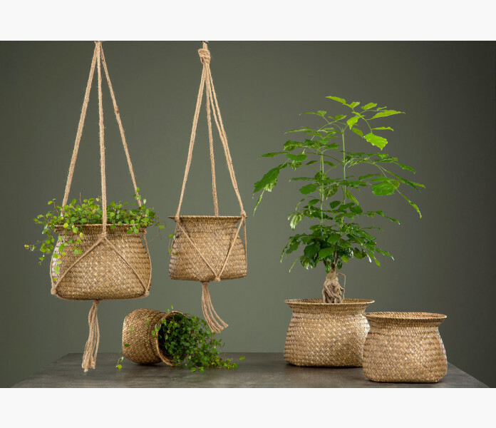 Korg Ampel Ro Plastliner 1 kuva