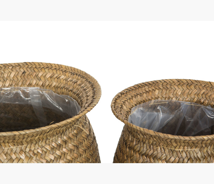 Korg Ampel Ro Plastliner 2 kuva