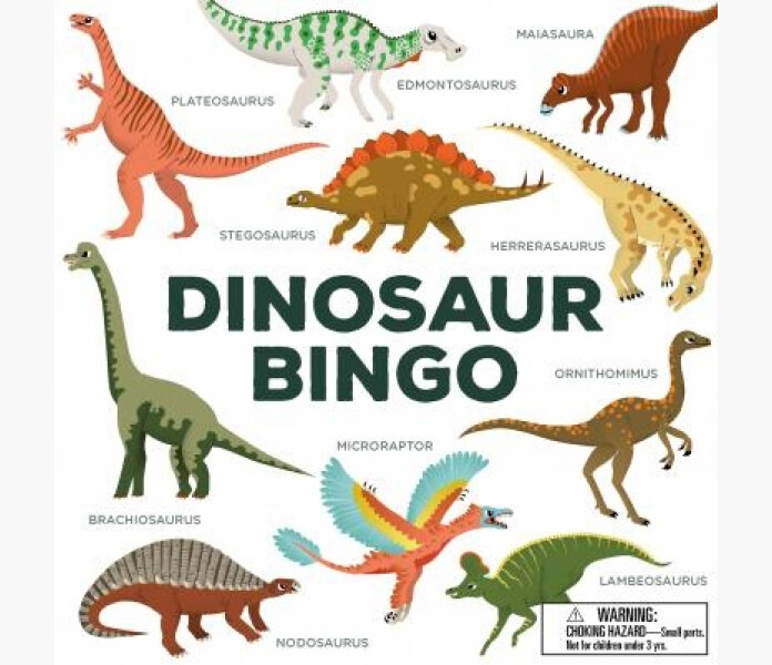 Dinosaur Bingo image