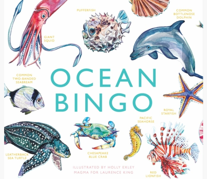 Ocean Bingo image