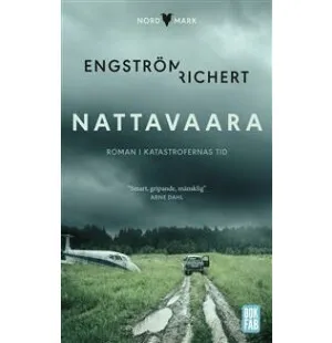 Nattavaara image