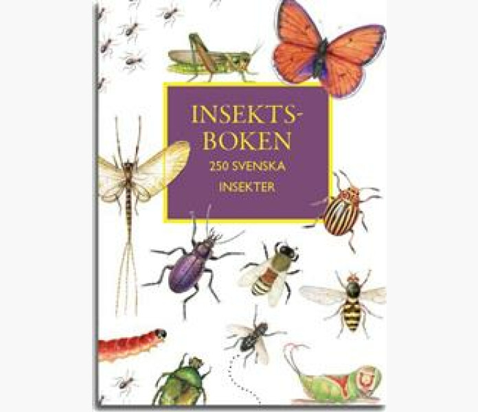 Insektboken 250 svenska insekter kuva