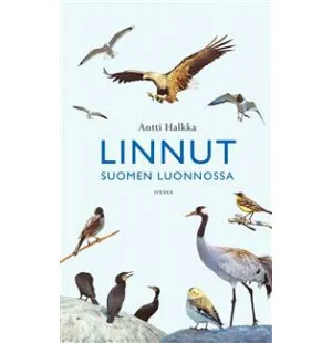 Linnut Suomen luonnossa kuva