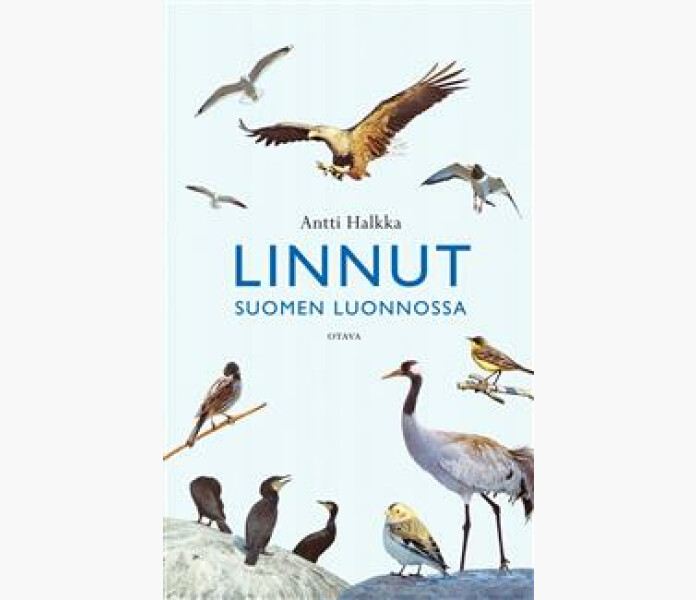 Linnut Suomen luonnossa kuva