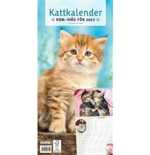 Kattkalender 2022 kuva