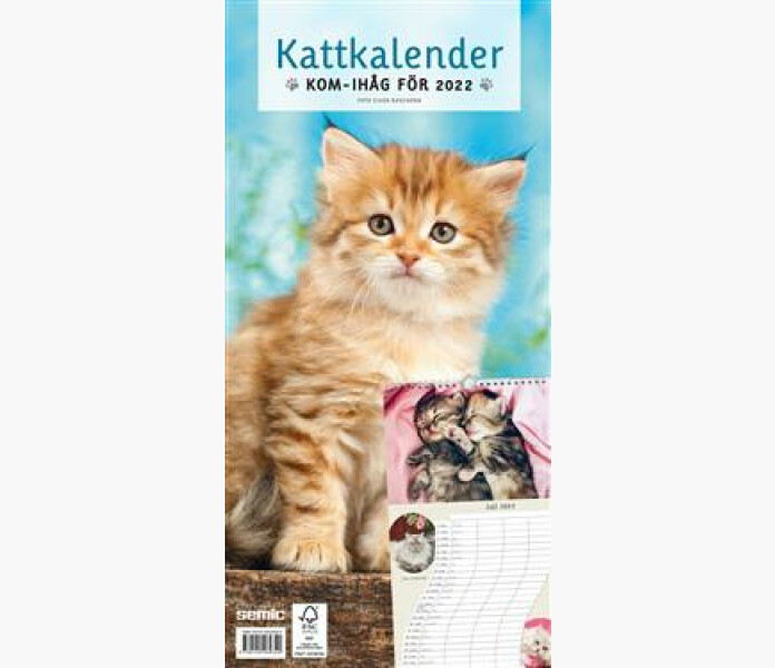 Kattkalender 2022 kuva