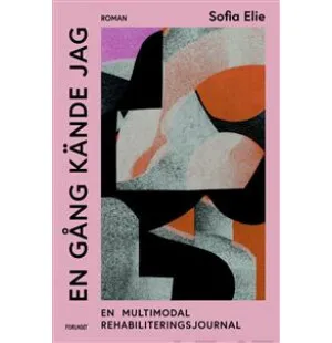 En gång kände jag image