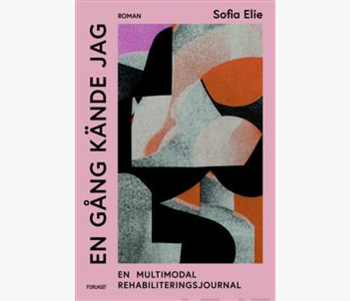 En gang kande jag image